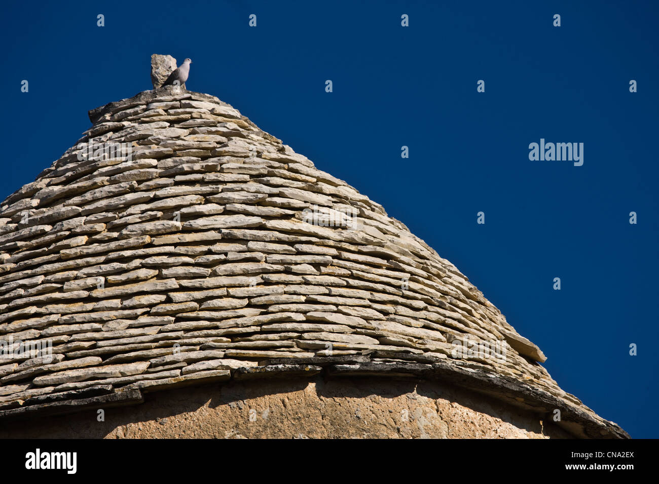France, Lot, Les Arques, details of the slate roof of the Tower of the Dean Stock Photo