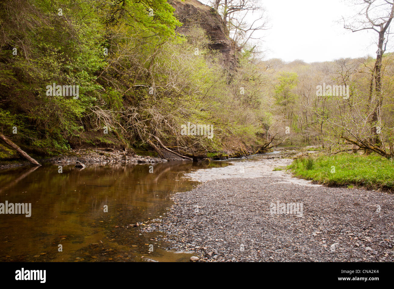 Waterfalls, mountain river and damp woodlands in valley at Ystradvelte in the Brecon Beacons, Wales, UK. Stock Photo