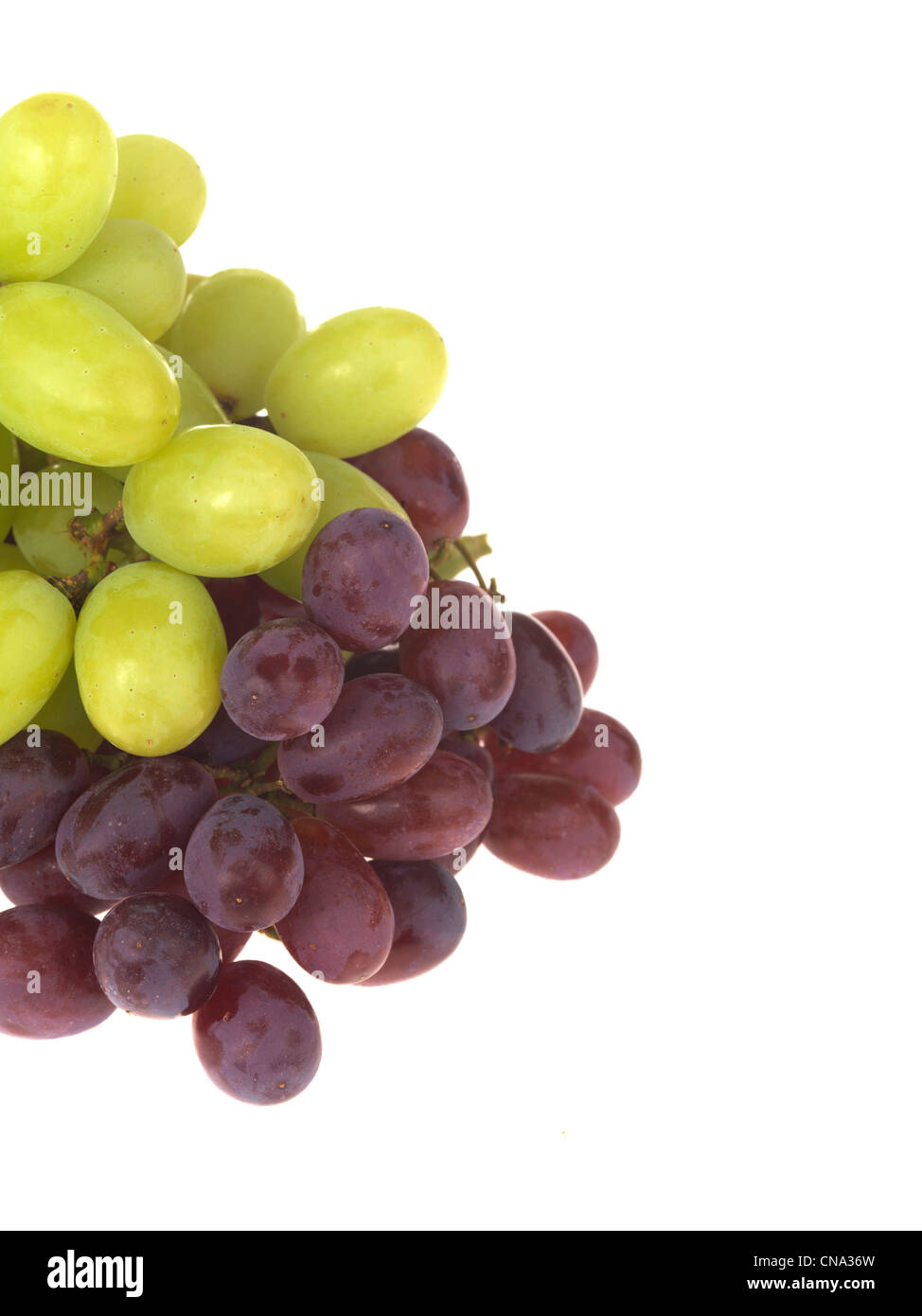 Bunch of Grapes Stock Photo