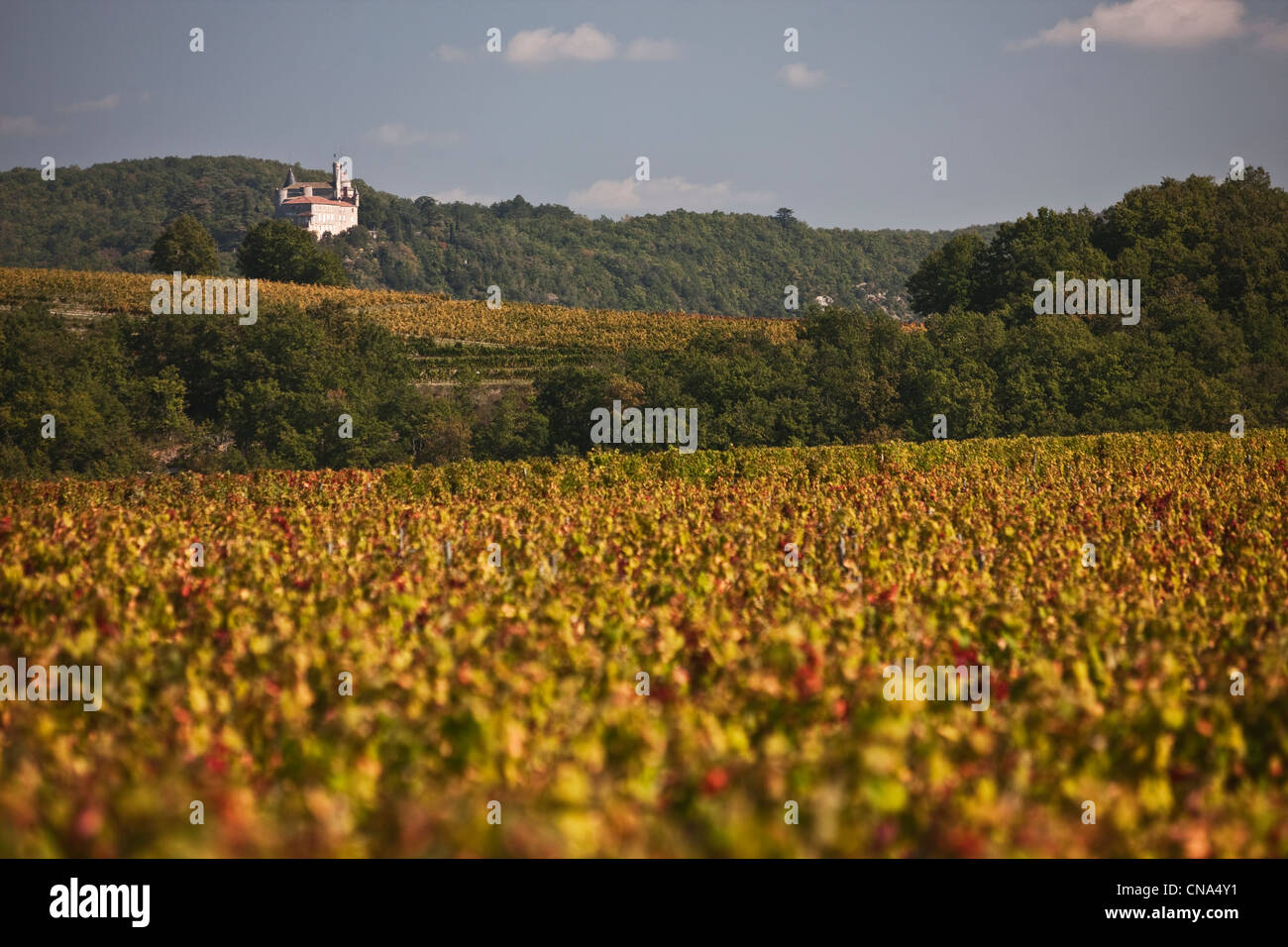 France, Lot, Caillac, the AOC Cahors in the fall and the Castle of Mercues Stock Photo