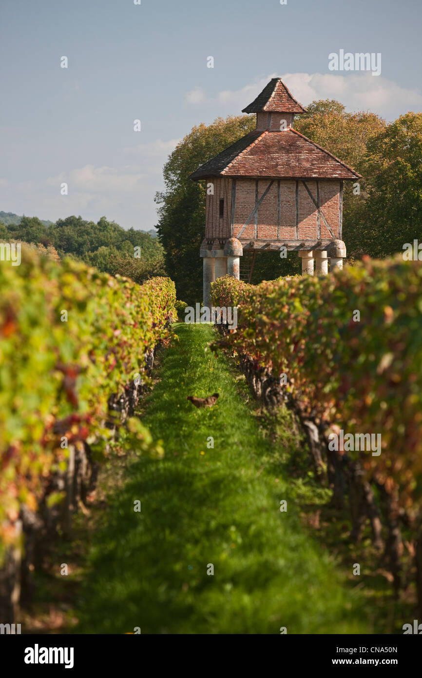 France, Lot, Caillac, dovecote in the vineyards of Cahors Chateau de La Gre zet Stock Photo