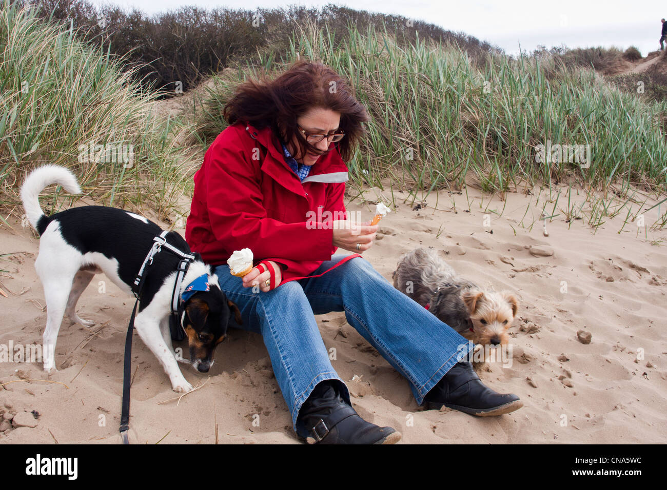 woman walking her two dogs on beach and feeding them ice cream. Stock Photo