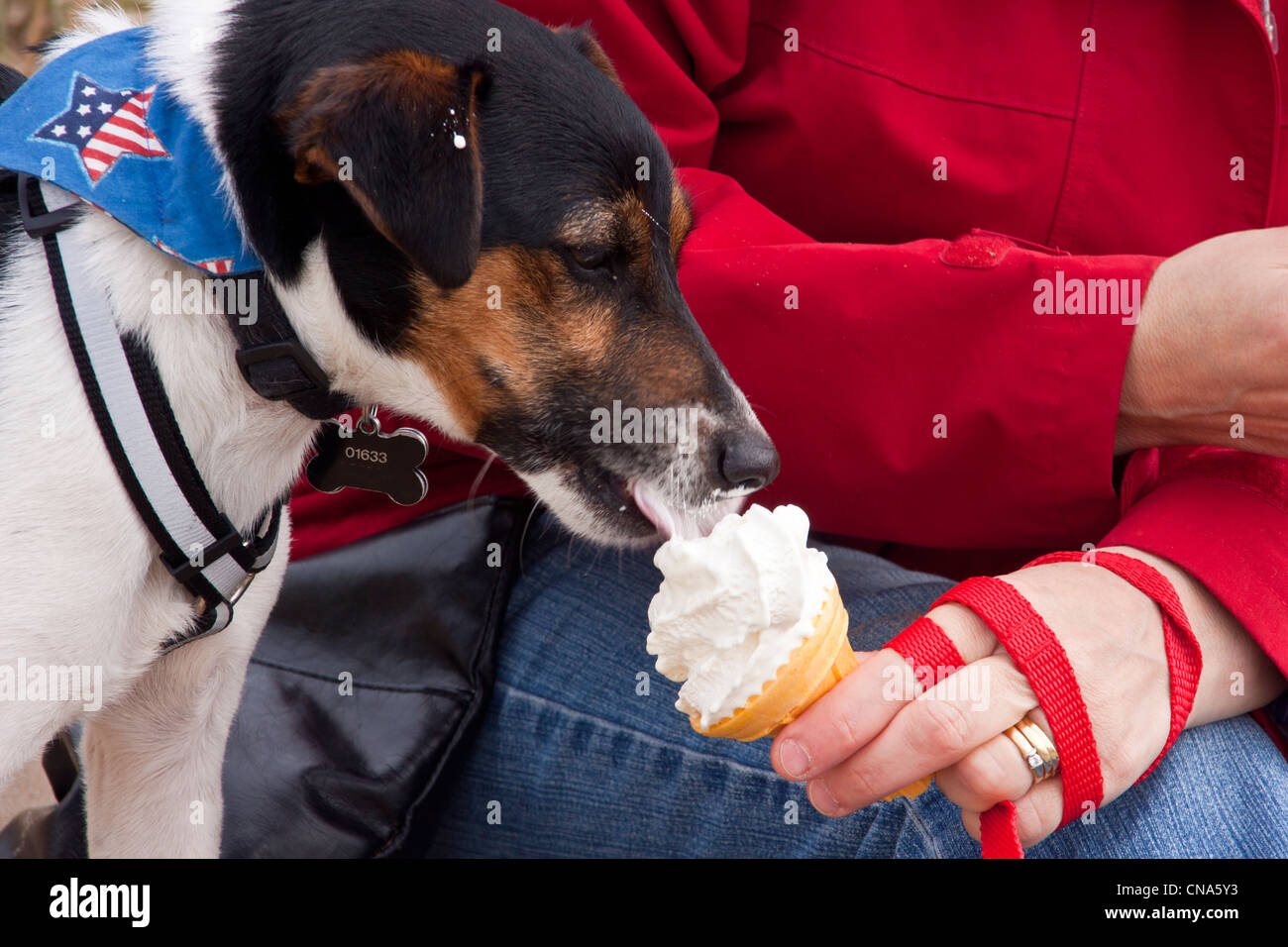 Parsons beach hires stock photography and images Alamy