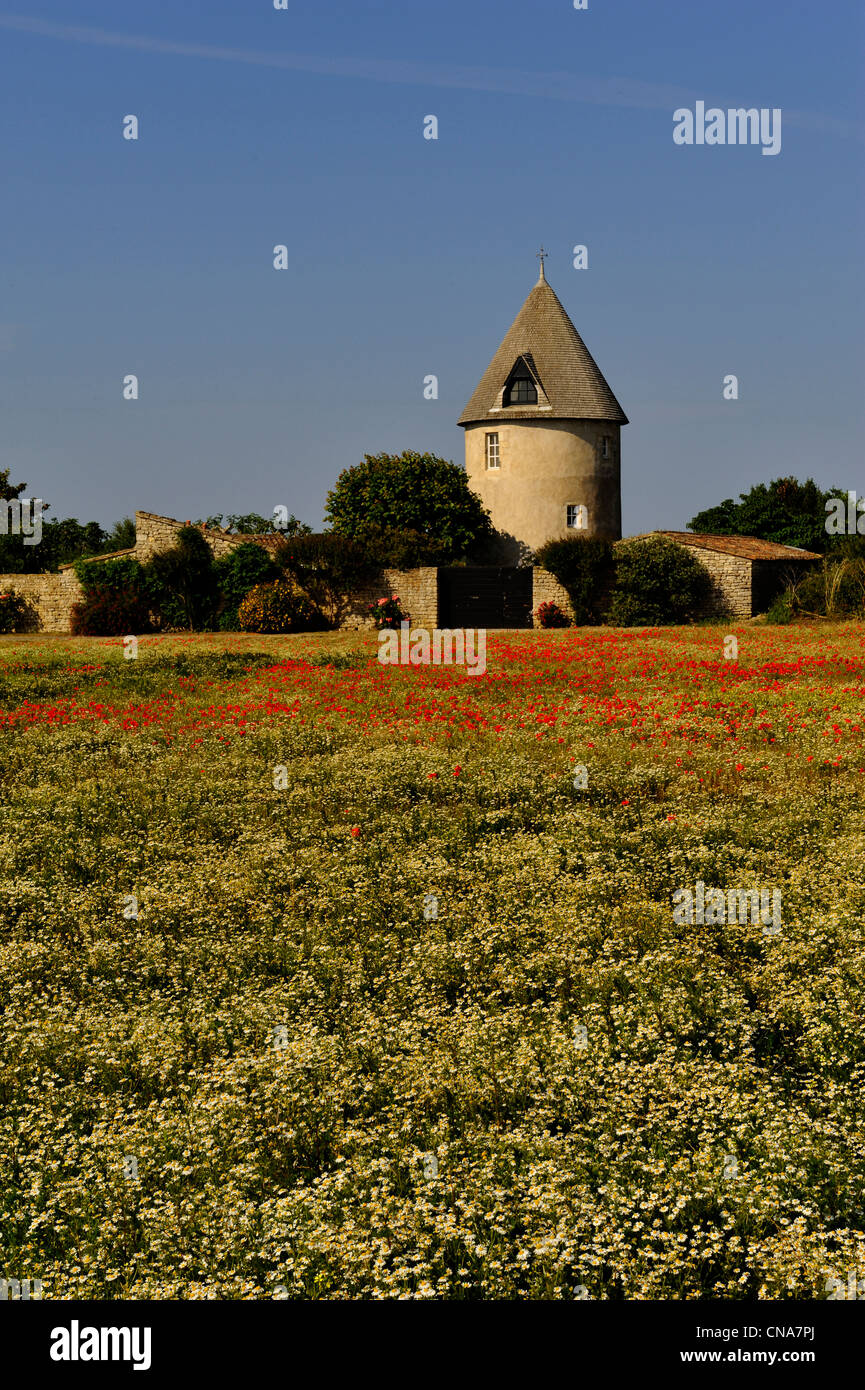 France, Charente Maritime, Ile de Re, Ars en Re, labelled Les Plus Beaux Villages de France (The Most Beautiful Villages of Stock Photo