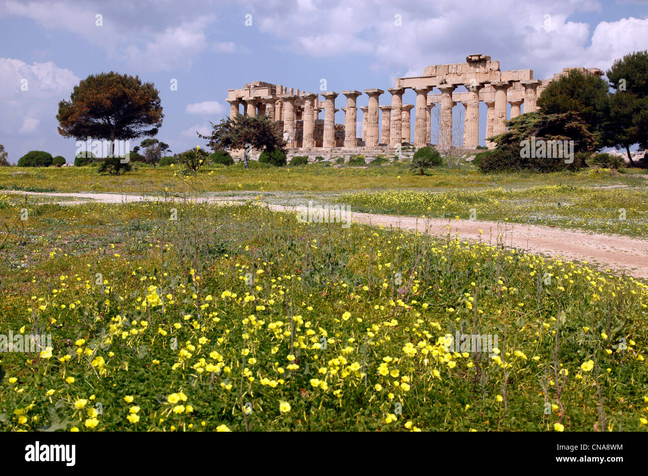 Ruins of the Temple of Hera (Temple E) at Selinunte, Sicily, Italy Stock Photo