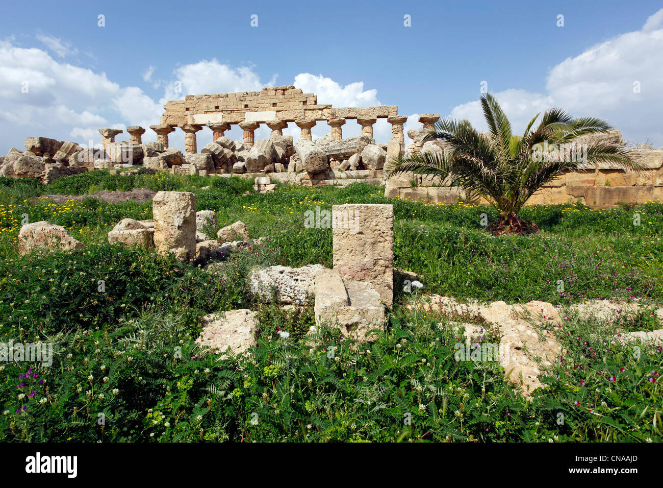 Ruins of Temple C, a Doric Hexastyle building, at Selinunte, Sicily, Italy Stock Photo
