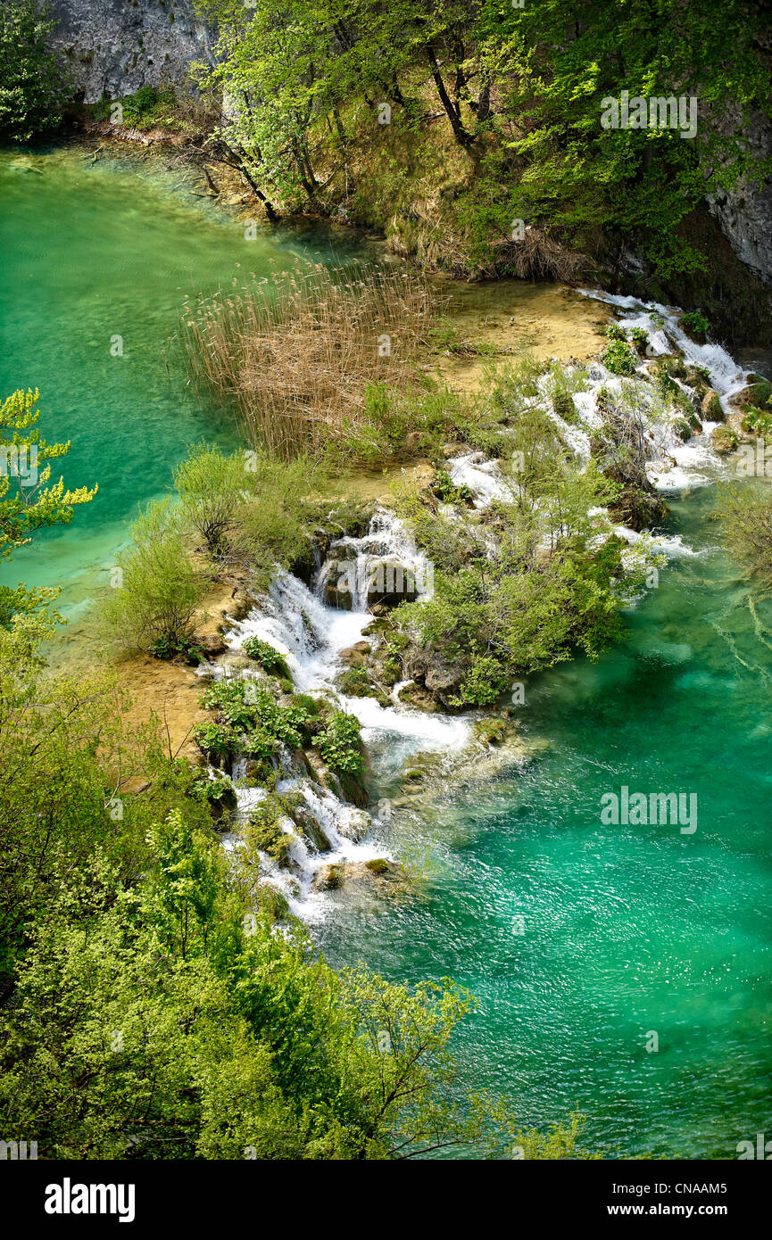 Plitvice mineral water lakes & water falls. Plitvice ( Plitvička ) Lakes National Park, Croatia. A UNESCO World Heritage Site Stock Photo
