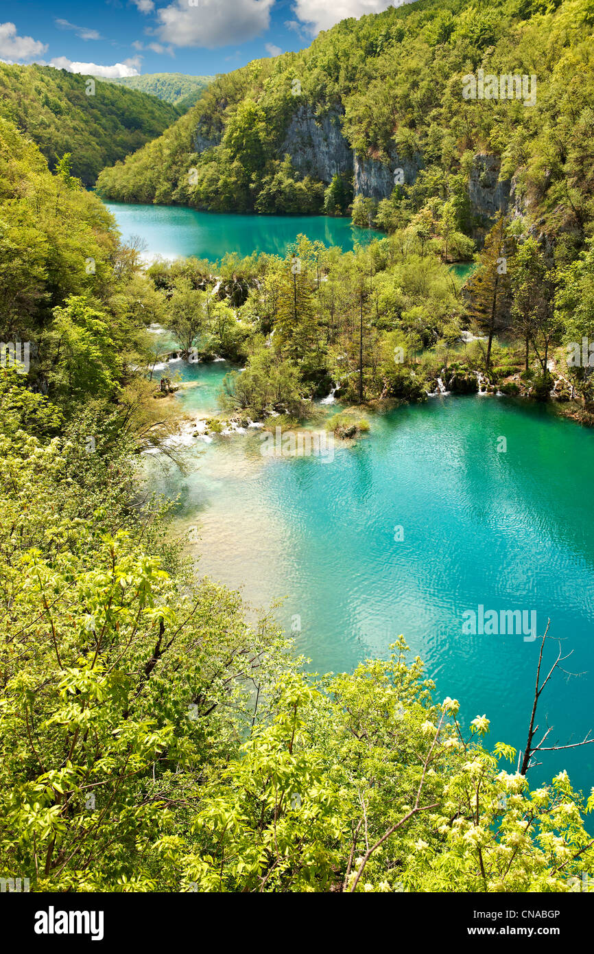 Plitvice mineral water lakes . Plitvice ( Plitvička ) Lakes National Park, Croatia. A UNESCO World Heritage Site Stock Photo