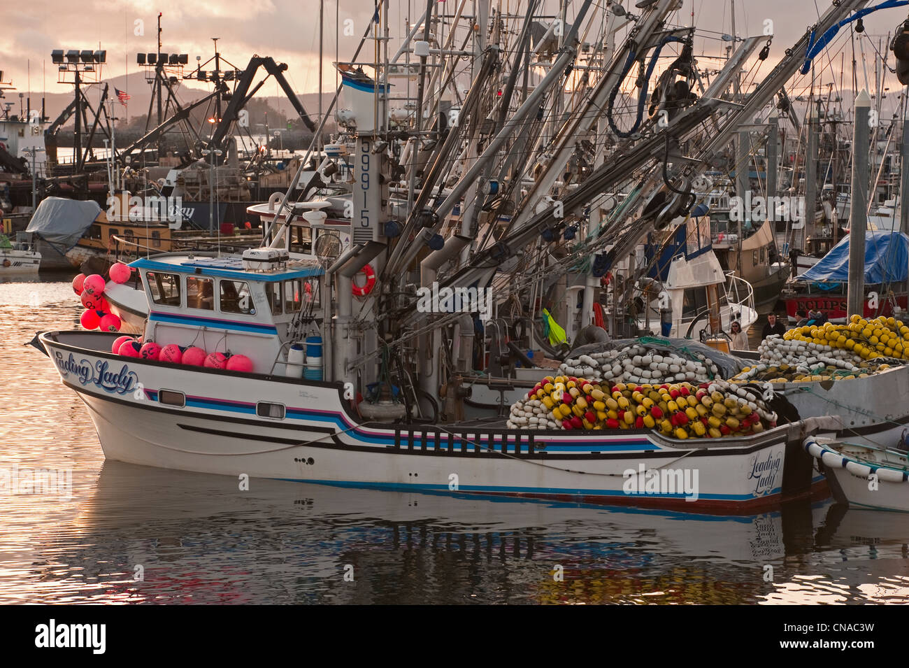 Sac roe herring fishing fleet docked in Thomsen Harbor in Sitka, Alaska
