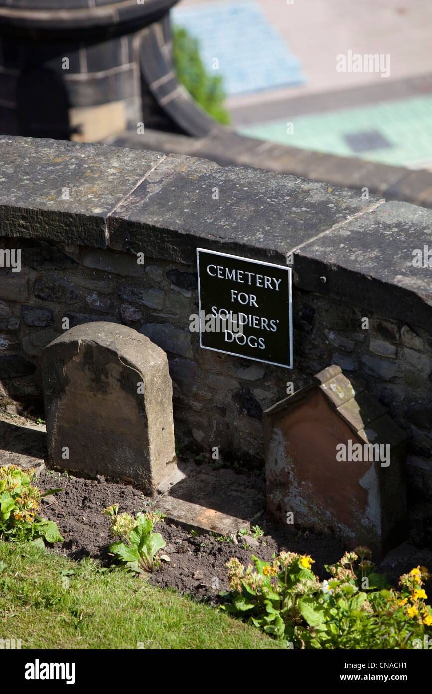 A cemetery for dogs at the Edinburgh castle Stock Photo Alamy