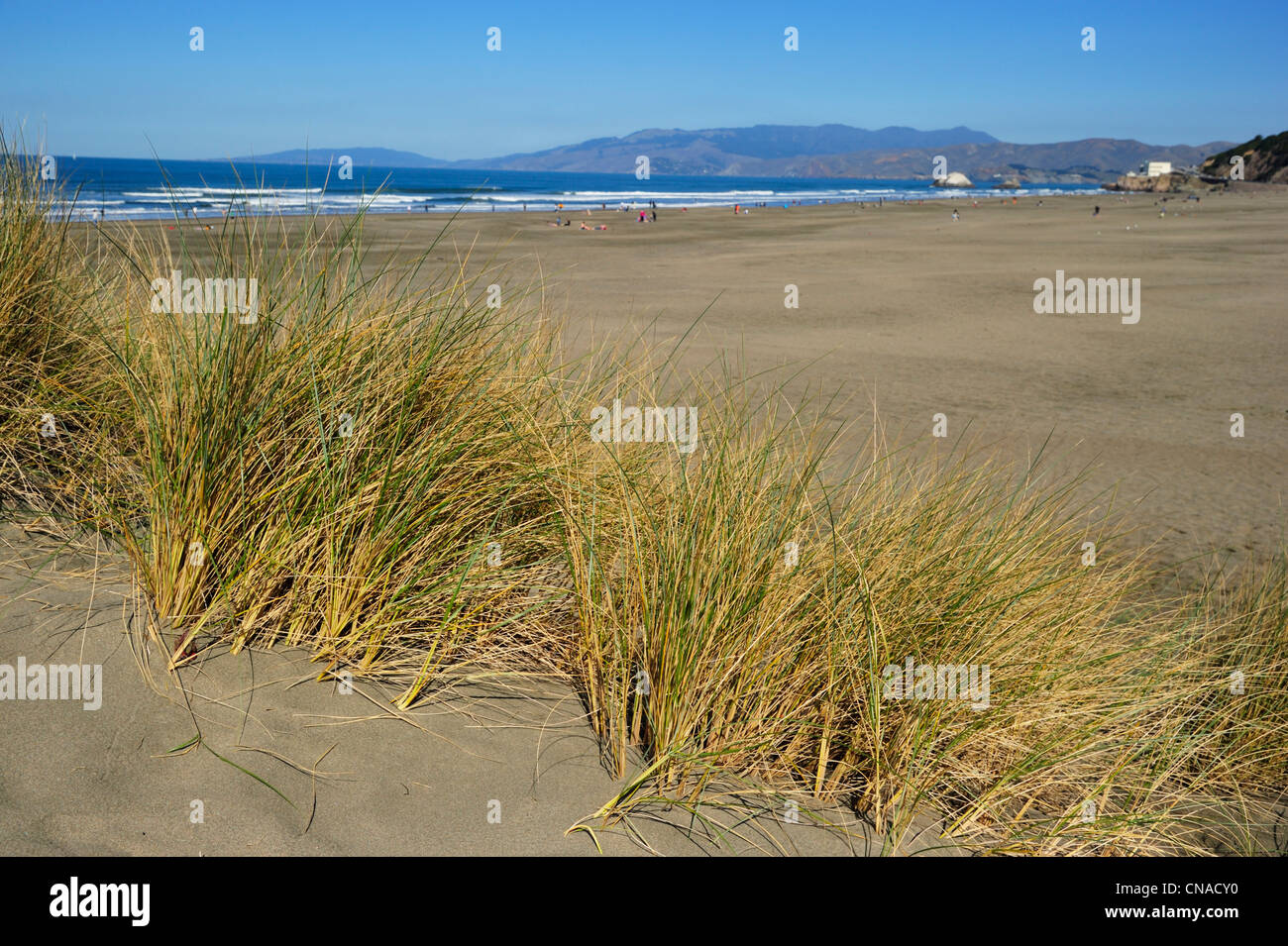 Ocean Beach and Seal Rocks, San Francisco CA Stock Photo