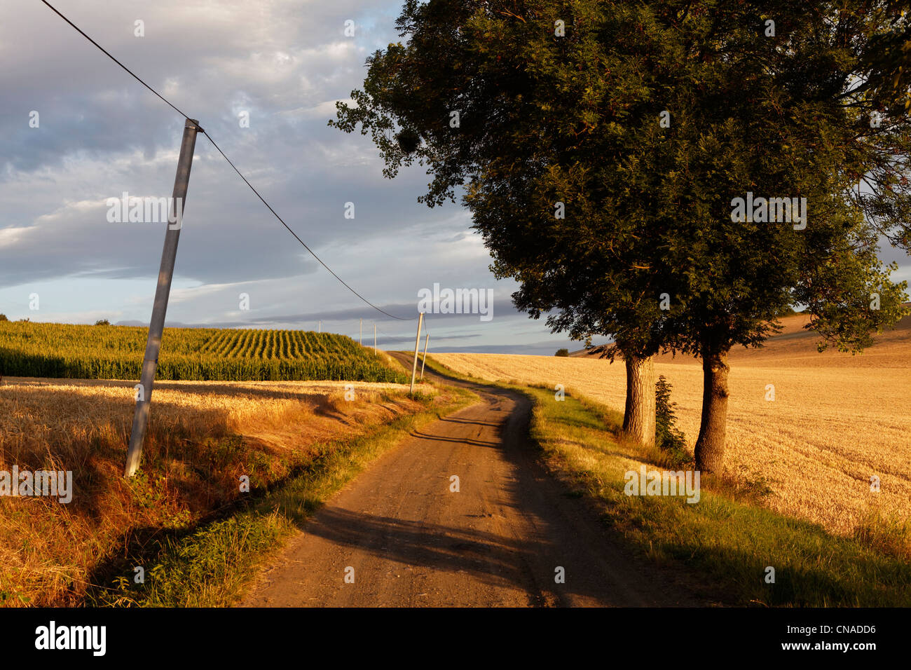 France, Puy de Dome, agricultural landscape and track Stock Photo