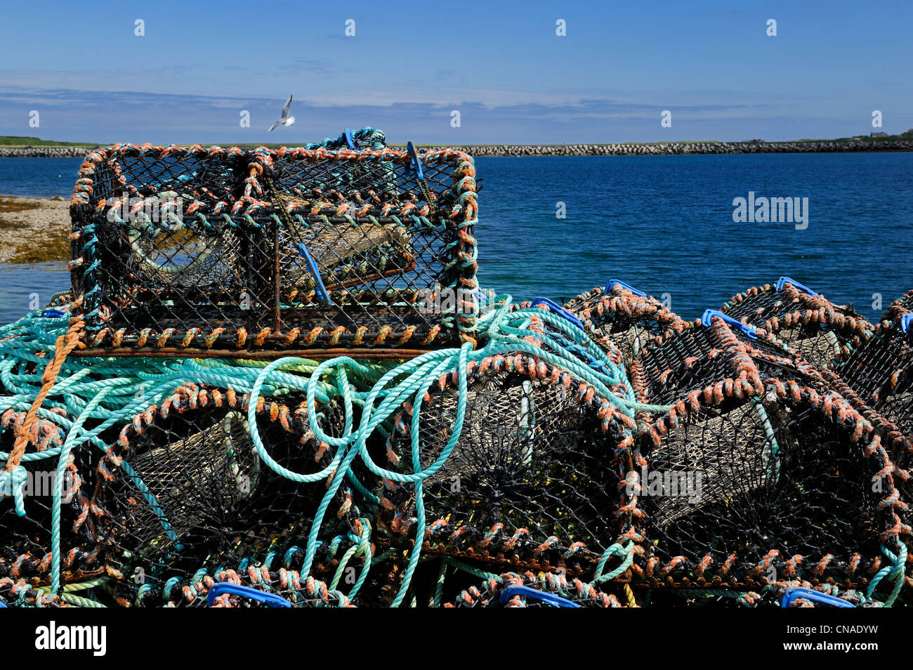 United Kingdom, Scotland, Orkney Islands, Isle of Burray, fishing pots at the pier Stock Photo