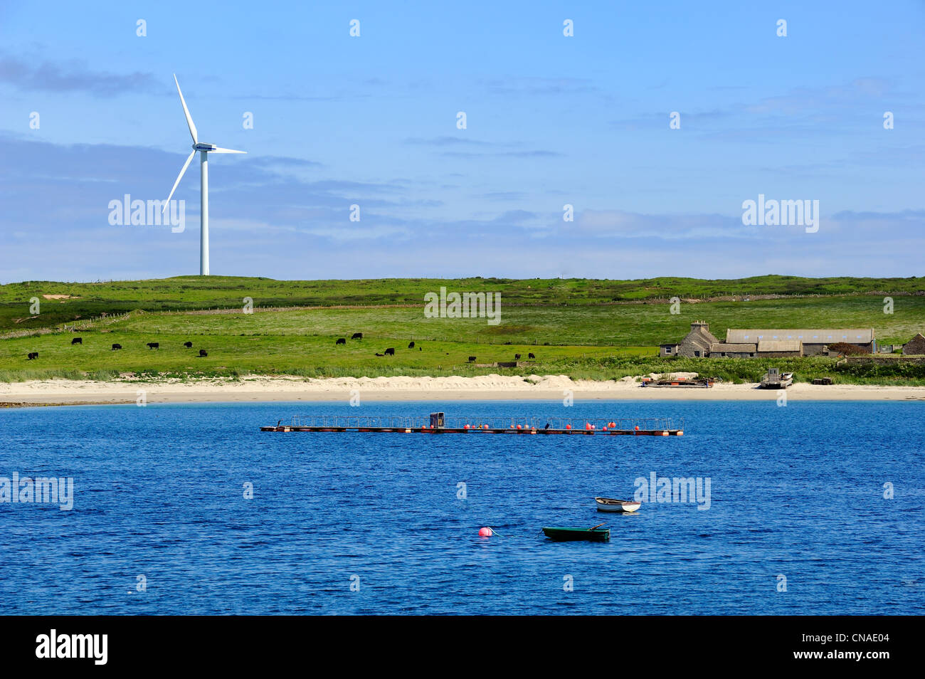 United Kingdom, Scotland, Orkney Islands, Isle of Burray, Weddell Bay and wind turbine Stock Photo