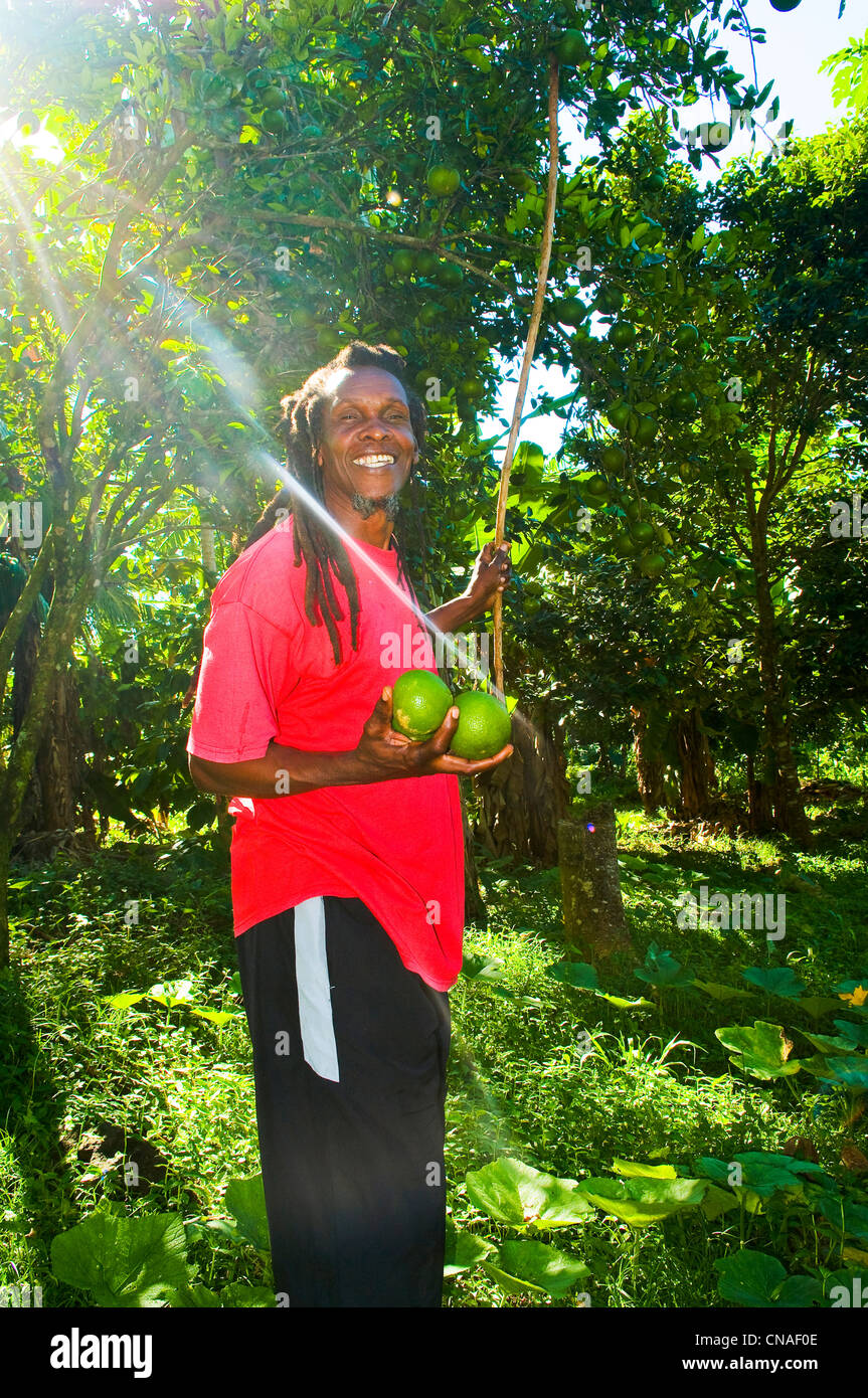 Dominica, Southern area of the island, Grand Bay (Berekua), small