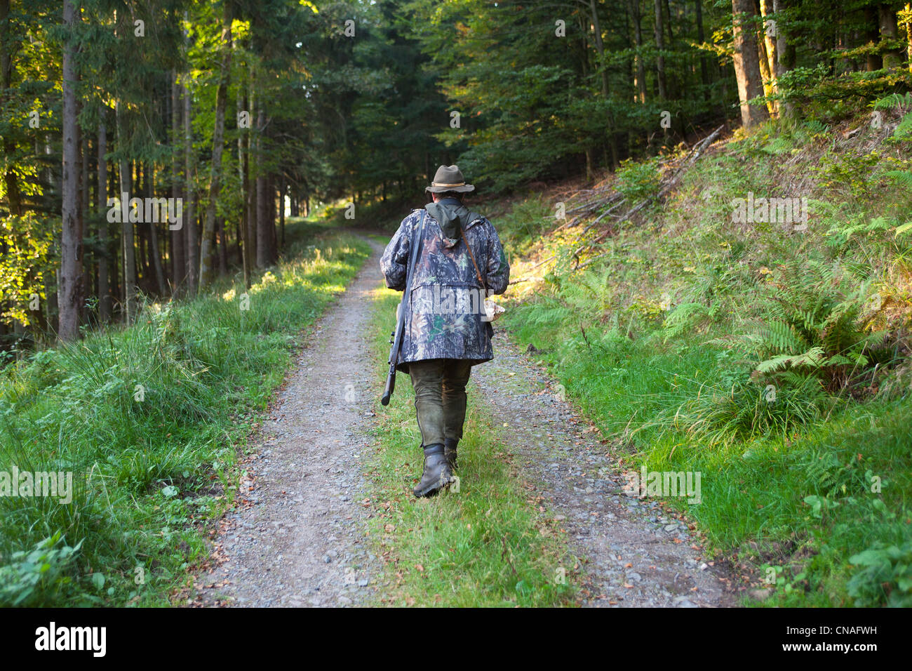 France, Bas Rhin, hunting big game Stock Photo