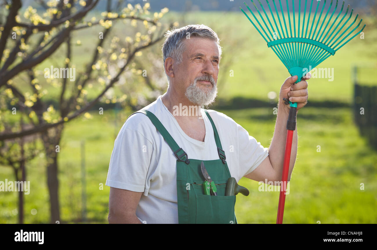 portrait of a senior man gardening in his garden (color toned image ...