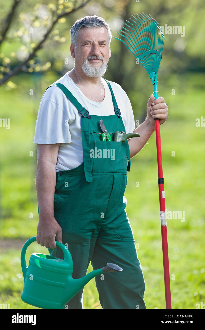 portrait of a senior man gardening in his garden (color toned image ...