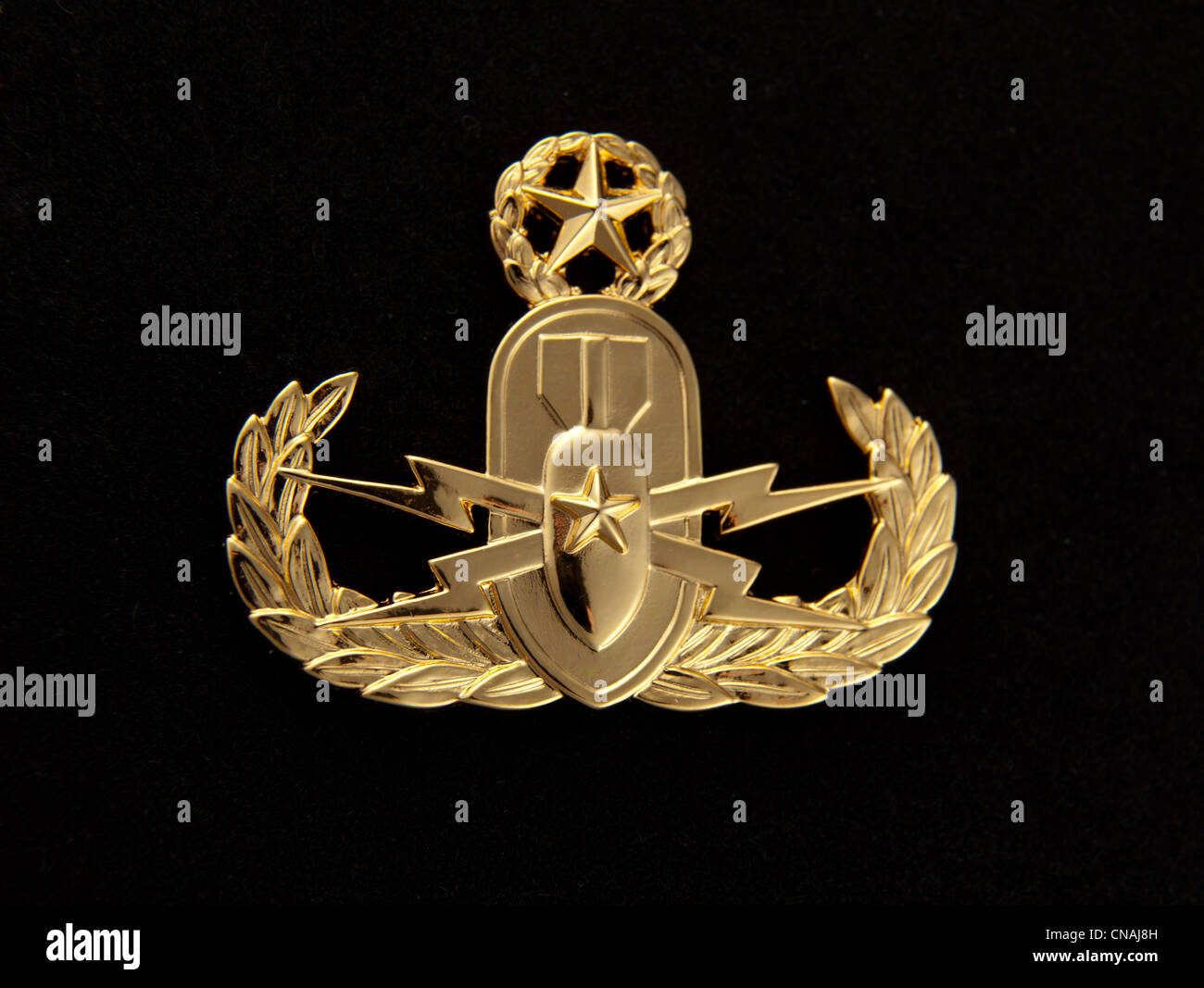 US Navy Officer Master Explosive Ordnance Disposal (EOD) badge, only worn by Commissioned Officers of the Navy Stock Photo