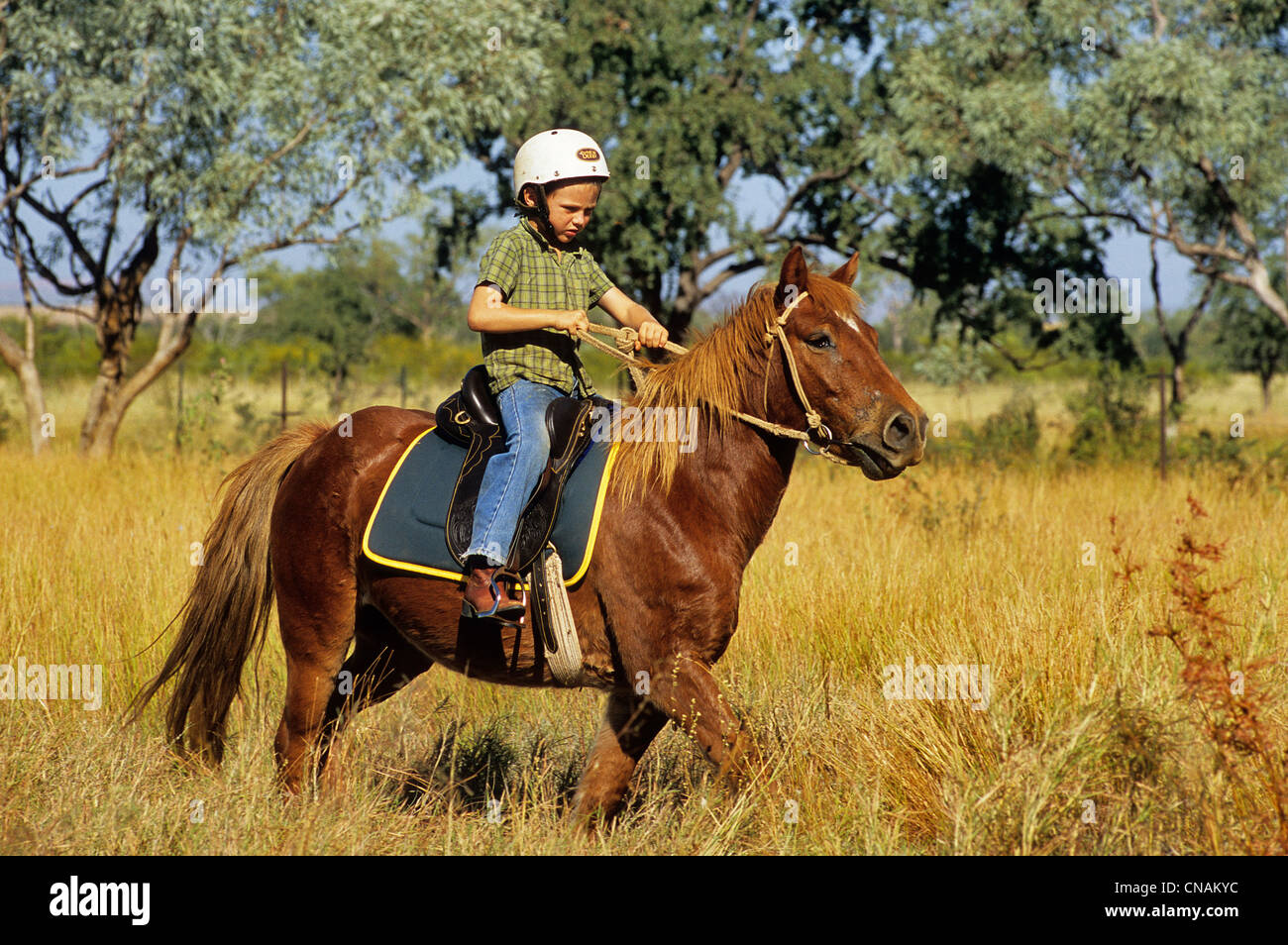 Australia, Western Australia, Kimberley Region, Mornington Wildlife Sanctuary, David Cook on his horse Stock Photo