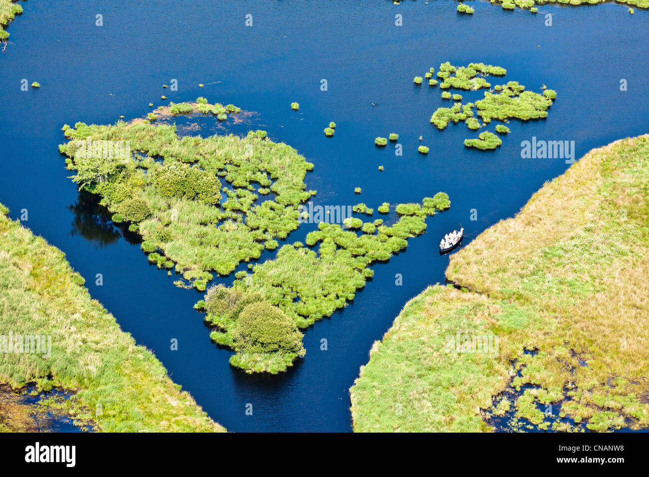 France, Loire-Atlantique, Saint-Lyphard, small boat ton a canal of the Grande Brière marshes (aerial photography) Stock Photo