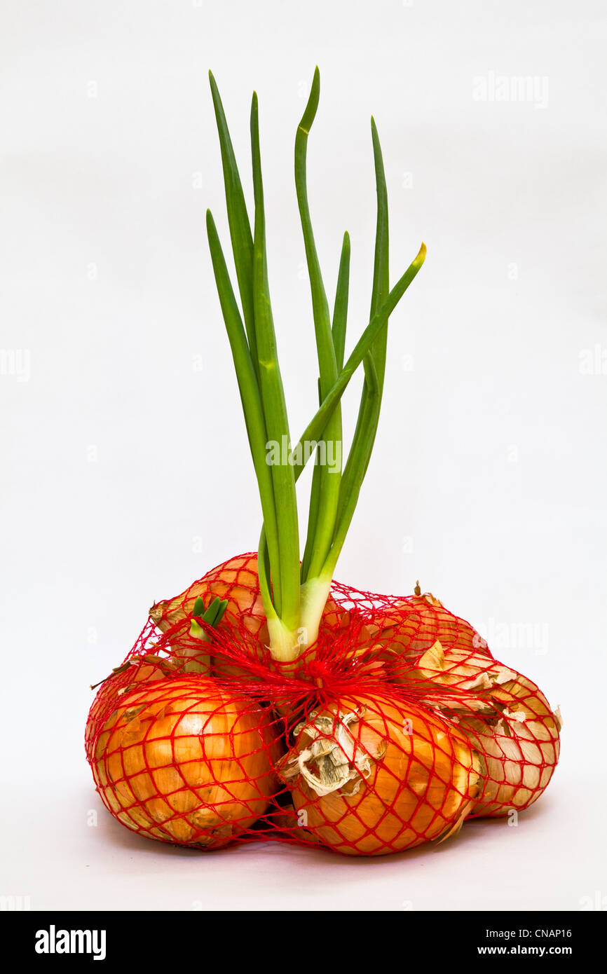Bag of onions hires stock photography and images Alamy