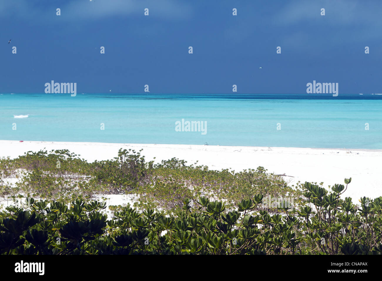 United States, Hawaii, Midway Atoll, Sand island Stock Photo