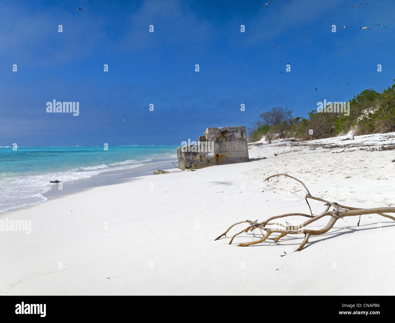 United States, Hawaii, Midway Atoll, Sand island, bunker Stock Photo