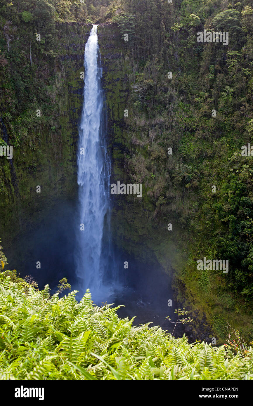 United States, Hawaii, Big island, Hamakua coast, Akaka waterfalls Stock Photo