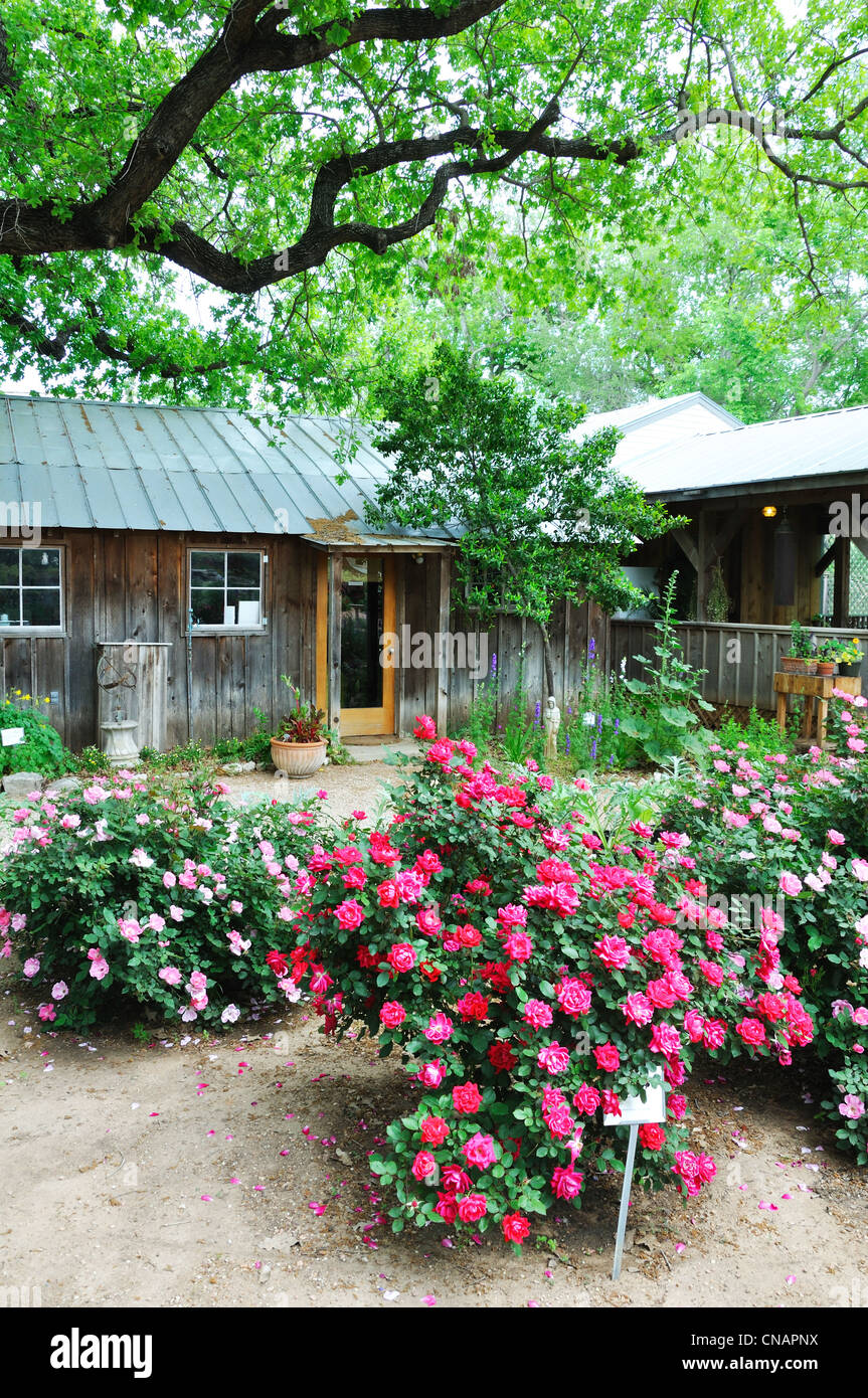 Fredericksburg Herb Farm, Texas, USA garden store Stock Photo Alamy