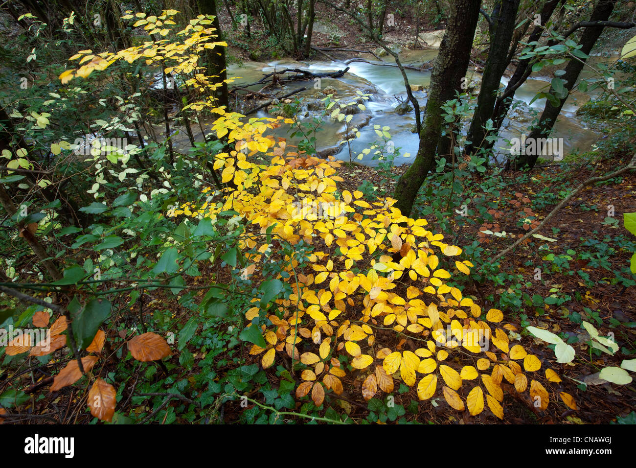France, Var, Massif de la Sainte Baume, source of Huveaune River Stock
