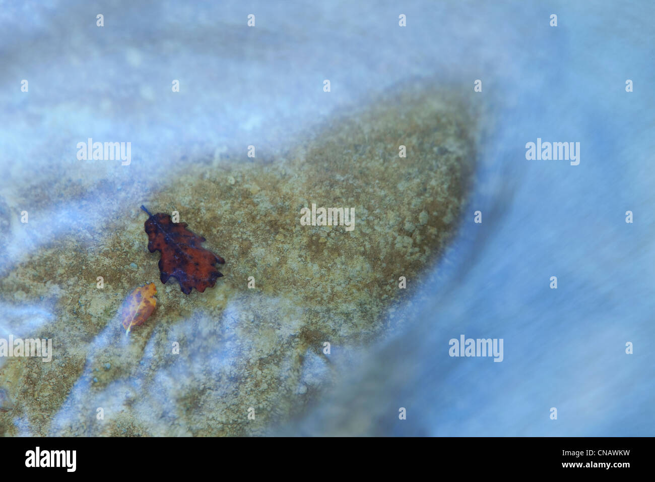 France, Var, Massif de la Sainte Baume, cascade Stock Photo Alamy