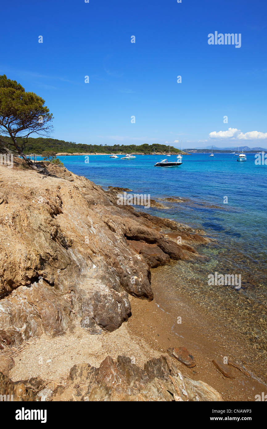 France, Var, Iles d'Hyeres, National Park of Port Cros, Porquerolles