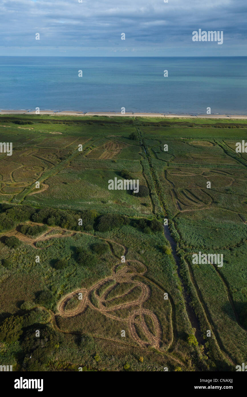 Gold beach hires stock photography and images Alamy