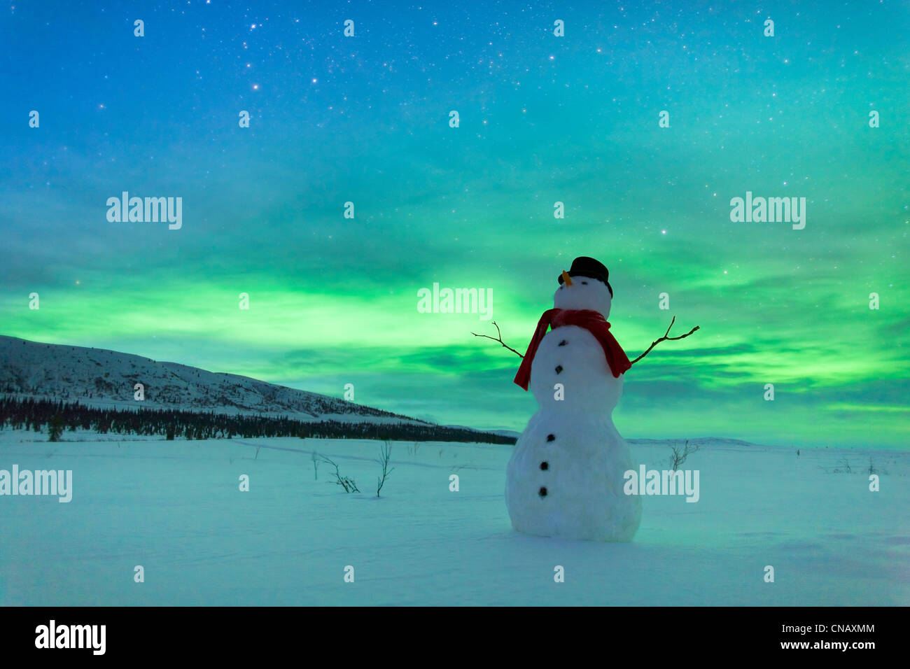 Digitally Altered,Snowman watching Northern Lights, Winter, Eureka Summit, Glenn Highway, Southcentral Alaska Stock Photo