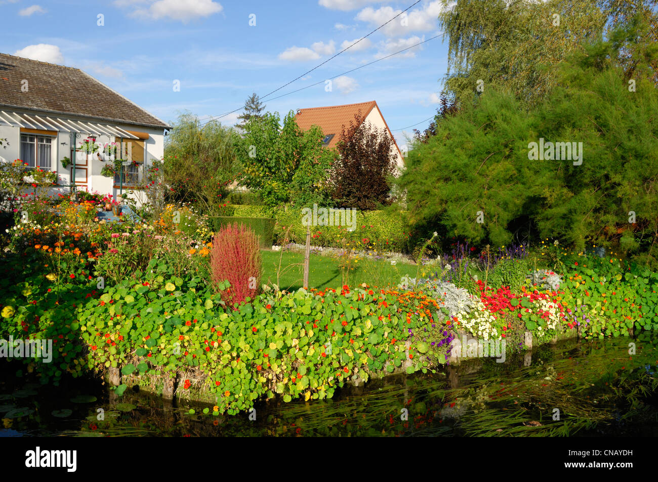 France, Somme, Amiens, the Hortillonnages, floating gardens Stock Photo