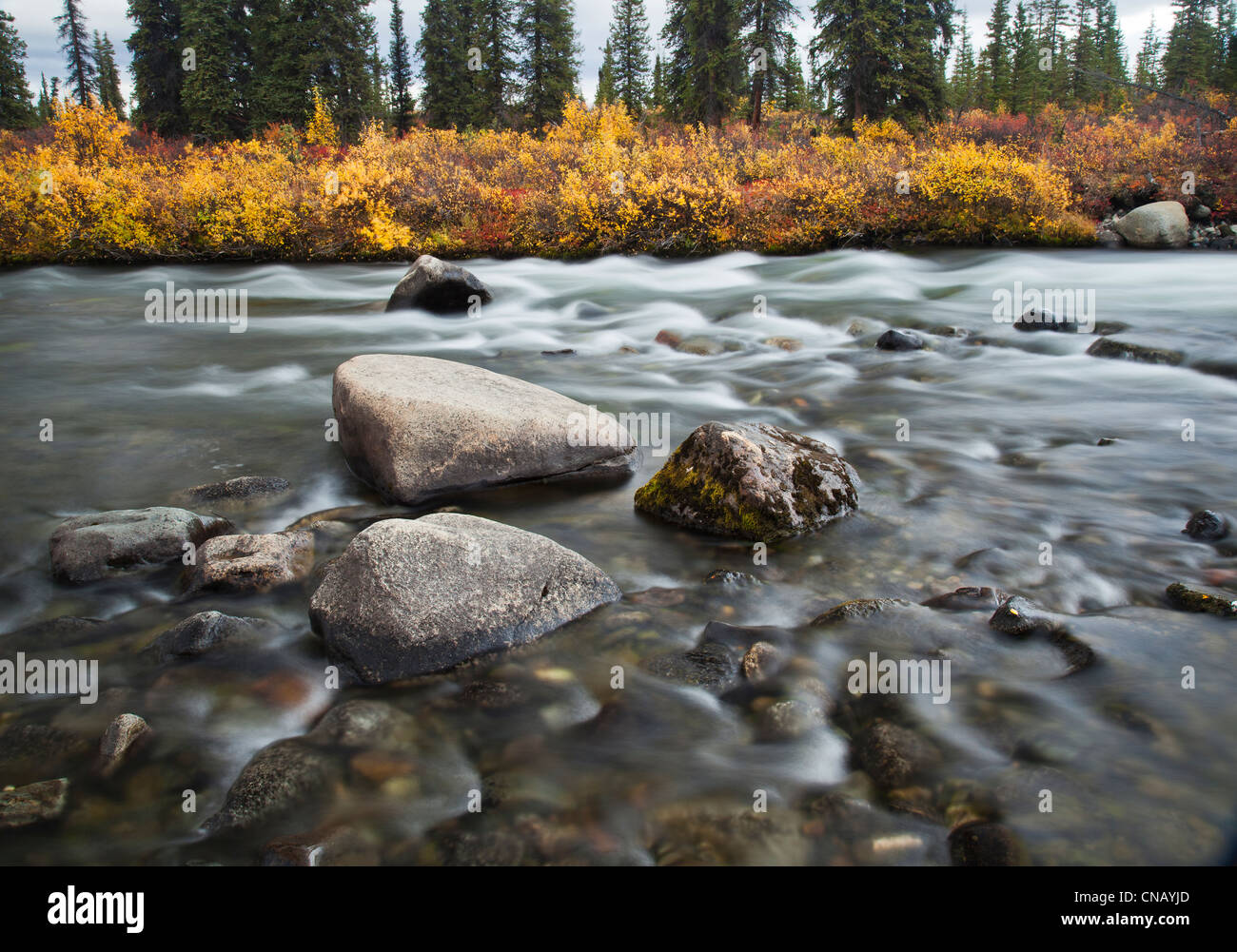Brushkana Creek near the BLM Brushkana campground on the west end of