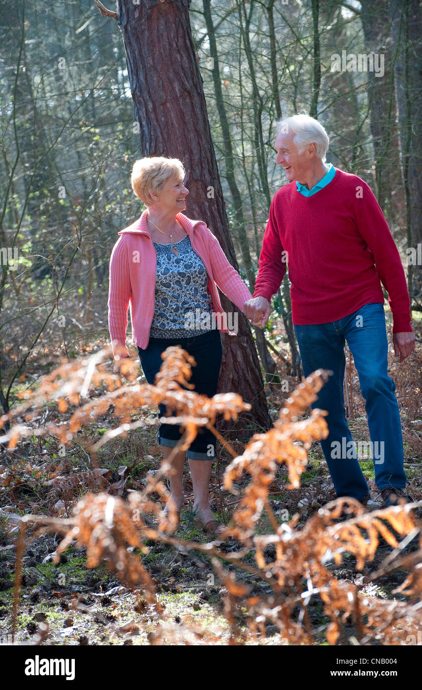 senior couple walking in woodland, norfolk, england Stock Photo