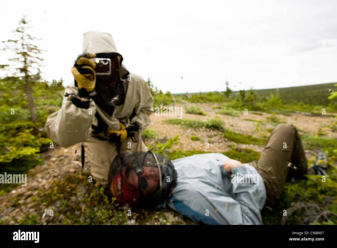 Two fishermen wear mosquito nets and bug shirts while resting and taking pictures, Koktuli River, Bristol Bay area, Alaska Stock Photo