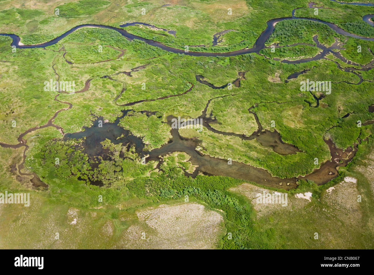 Aerial view of the Koktuli River near the proposed Pebble Mine in Bristol Bay area, Southwest Alaska, Summer Stock Photo