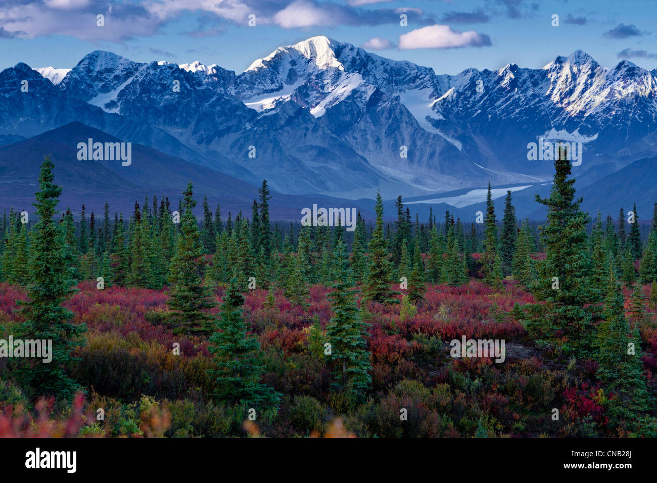 Scenic viw of the Alaska Range, Nenana Glacier and boreal forest along the Denali Highway, Alaska Stock Photo