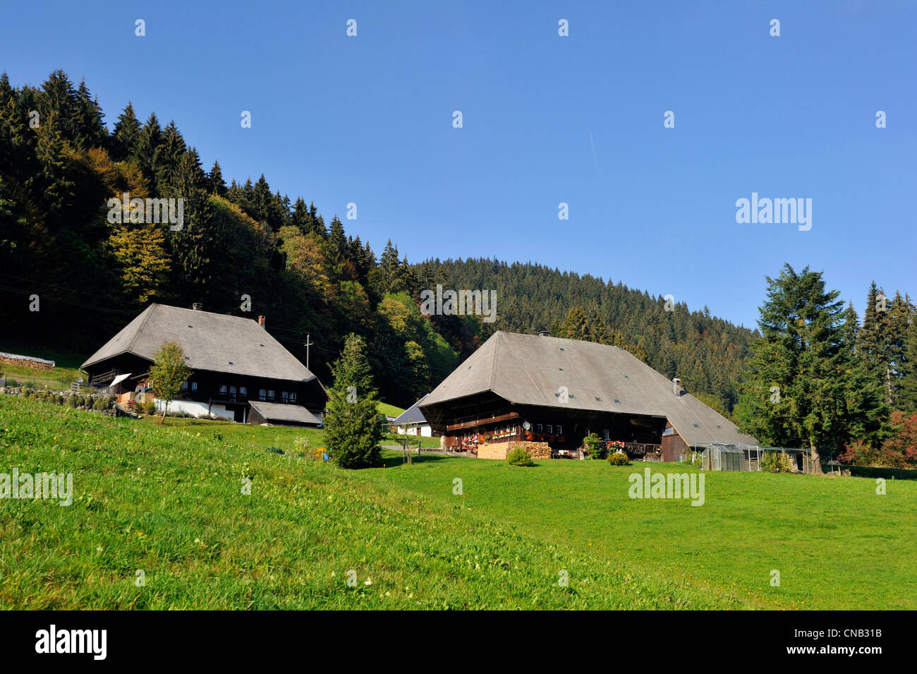 Germany, Black Forest, Schwarzwald, Baden-Wuerttemberg, country cottage near The Belchen (1414 m) Stock Photo