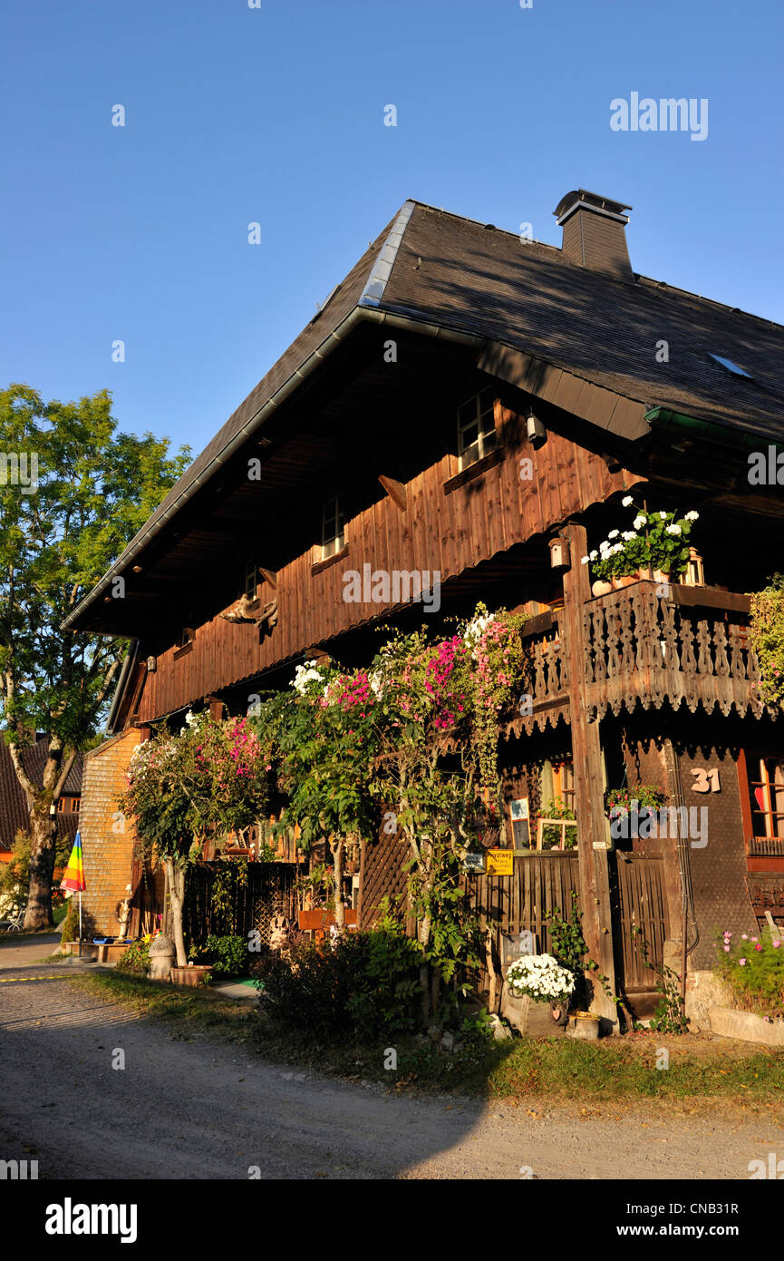 Germany, Black Forest, Schwarzwald, Baden-Wuerttemberg, Titisee lake, Hinterzarten Stock Photo