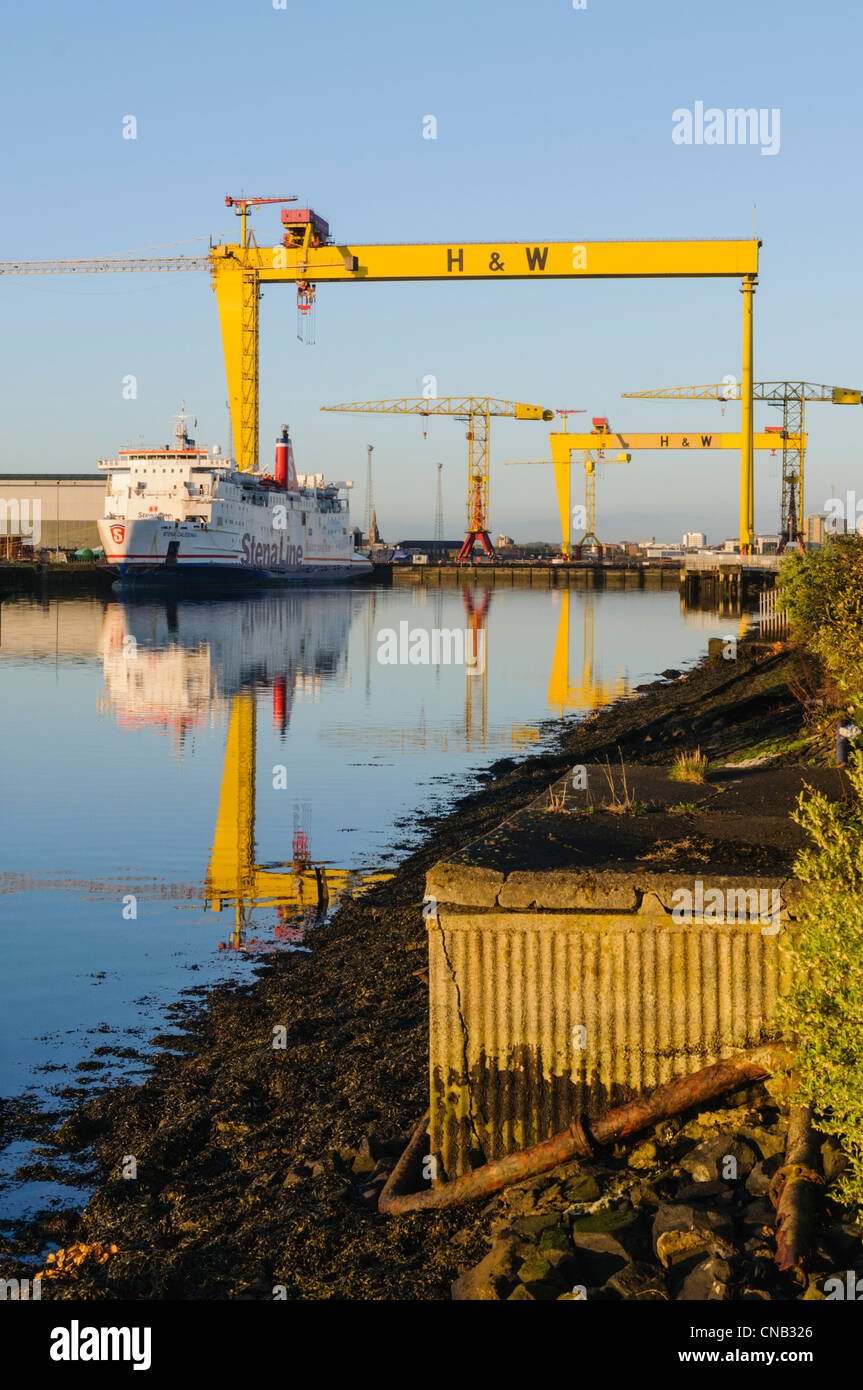 Samson and Goliath, the famous Harland and Wolff cranes, Belfast Stock Photo