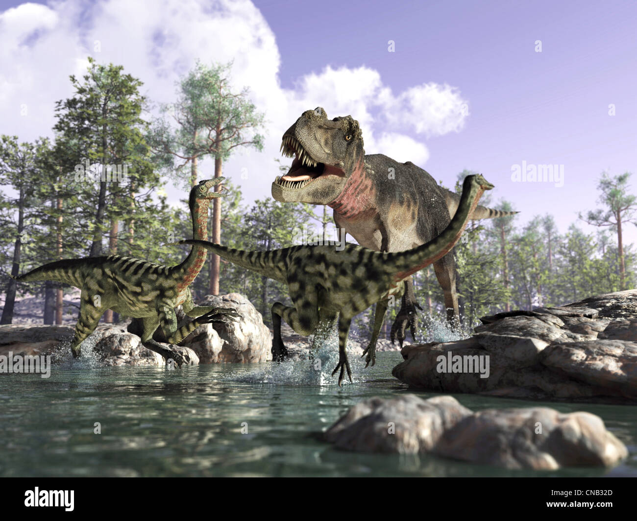 Photo-realistic 3 D scene of a Tyrannosaurus Rex, hunting two Gallimimus, running in a river with rocks and trees. Stock Photo