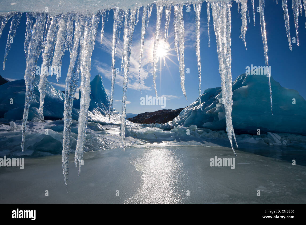 Sun shines through icicles hanging from the edge of an iceberg frozen into the surface of Mendenhall Lake, Alaska Stock Photo