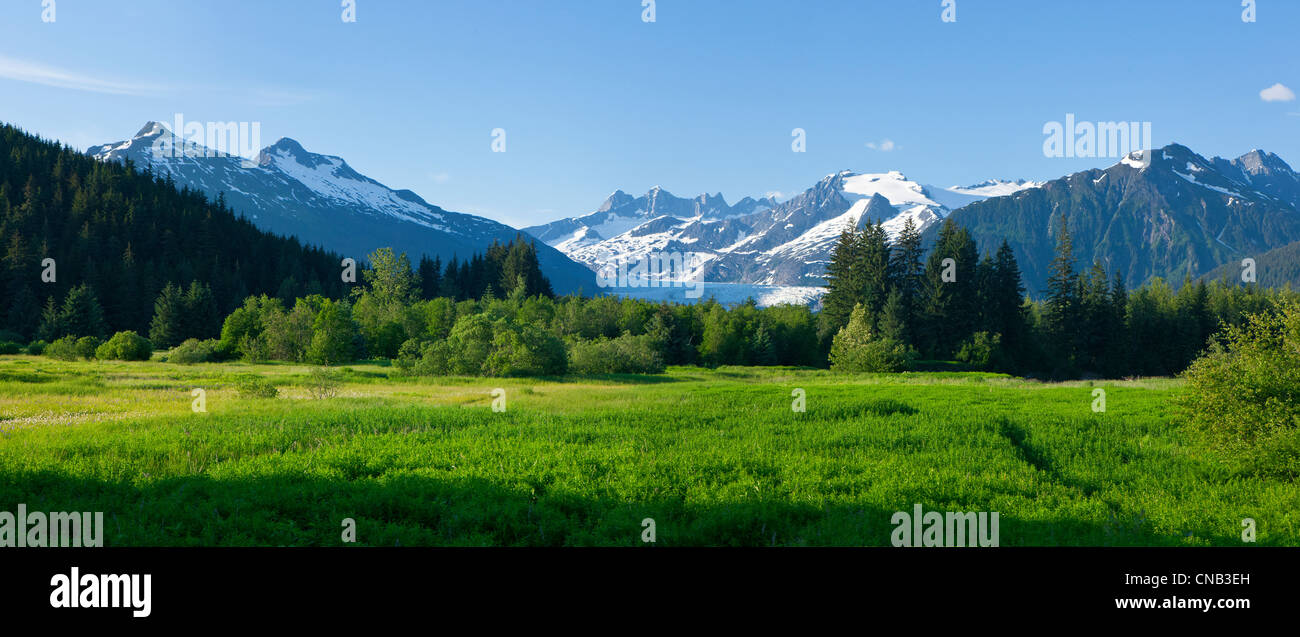 Scenic view of Brotherhood Meadow in the Mendenhall Valley, Mendenhall Glacier and Towers beyond in the distance,Juneau, Alaska Stock Photo