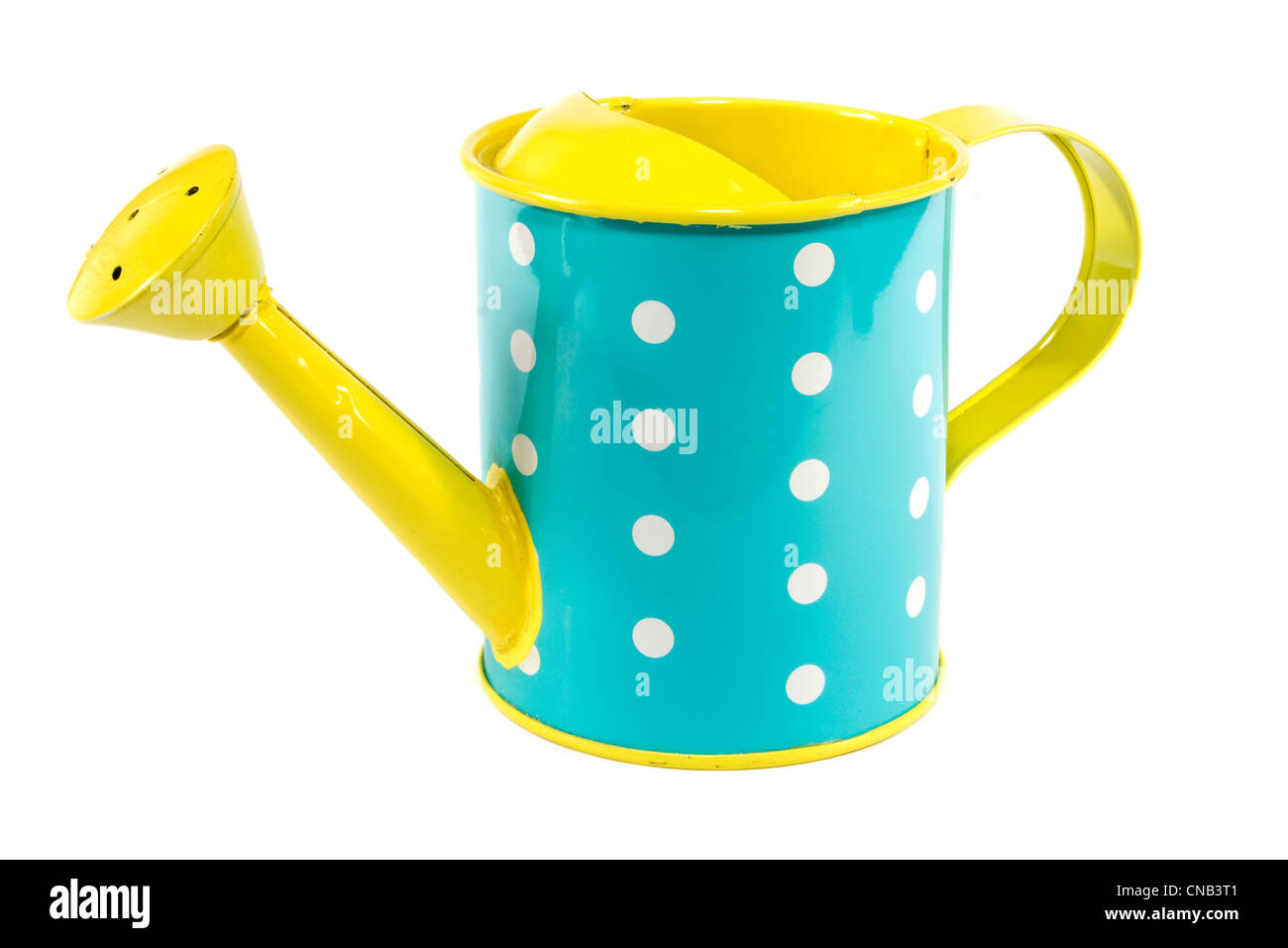 Blue and yellow polkerdot watering can on white Stock Photo