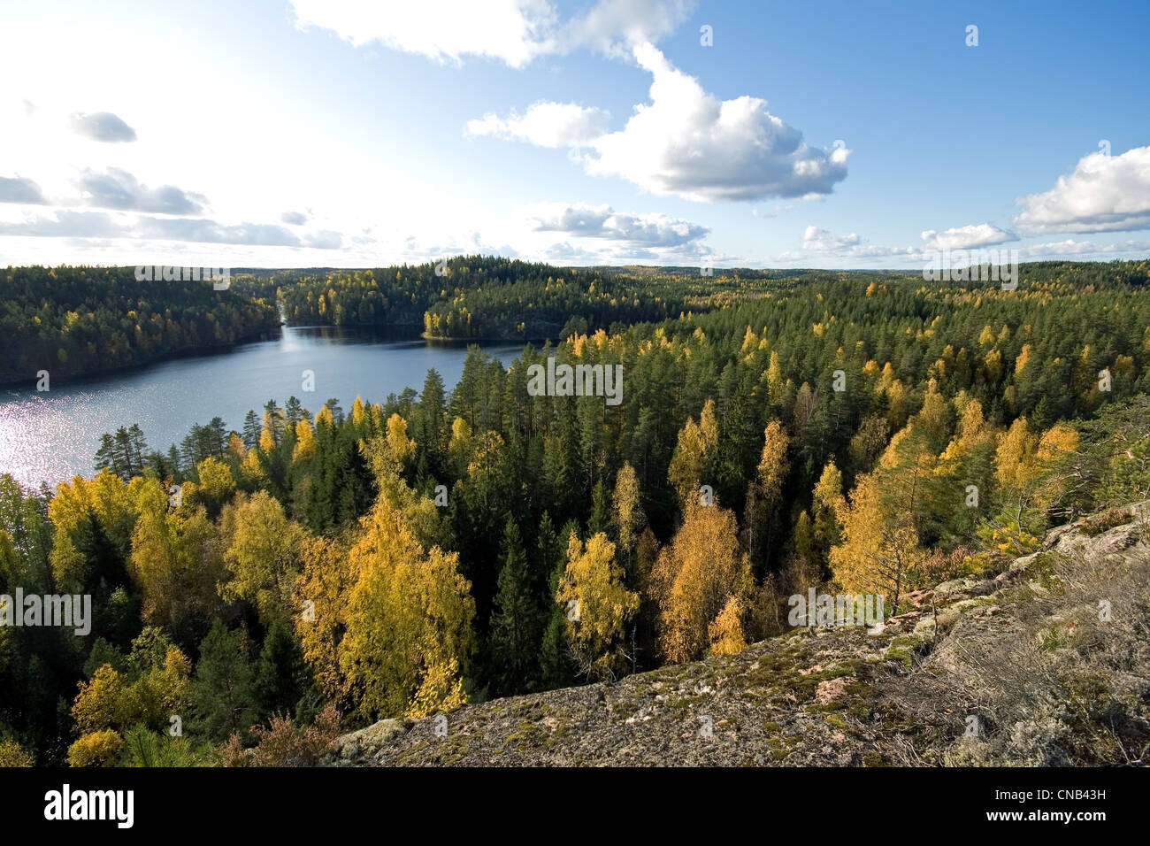 Repovesi Repovesi National Park High Resolution Stock Photography and Images - Alamy