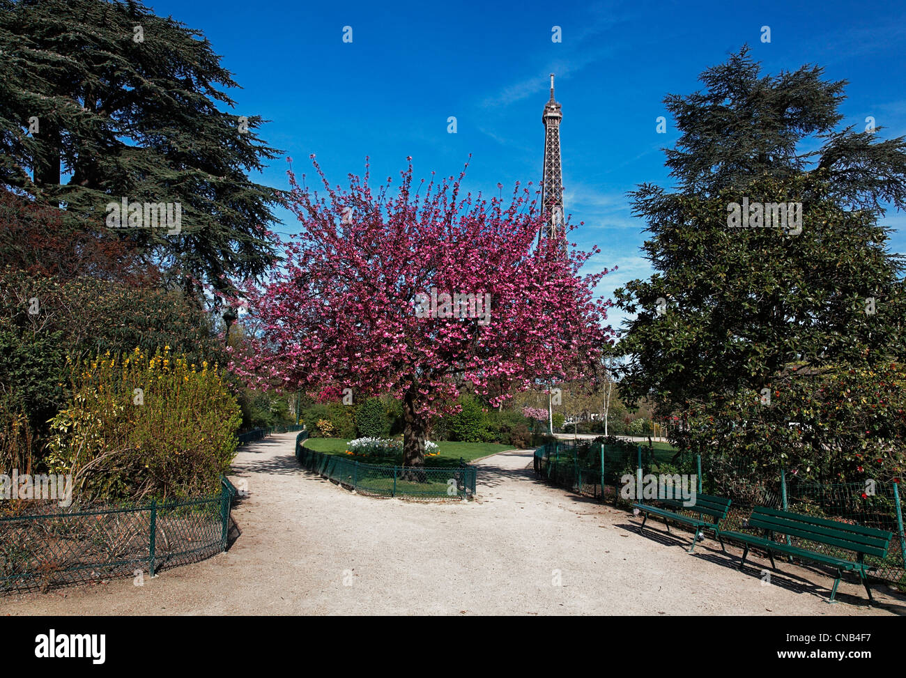 Image during the spring, of the Eiffel Tower from a beautiful park in the vicinity. Stock Photo